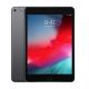 iPad Mini 5 256gb Space Gray WiFi Cellular